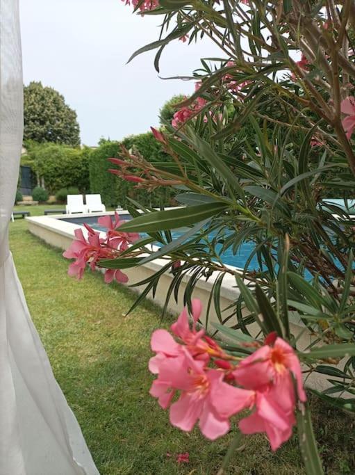 Le Cabanon Tendance Du Luberon Mérindol Εξωτερικό φωτογραφία