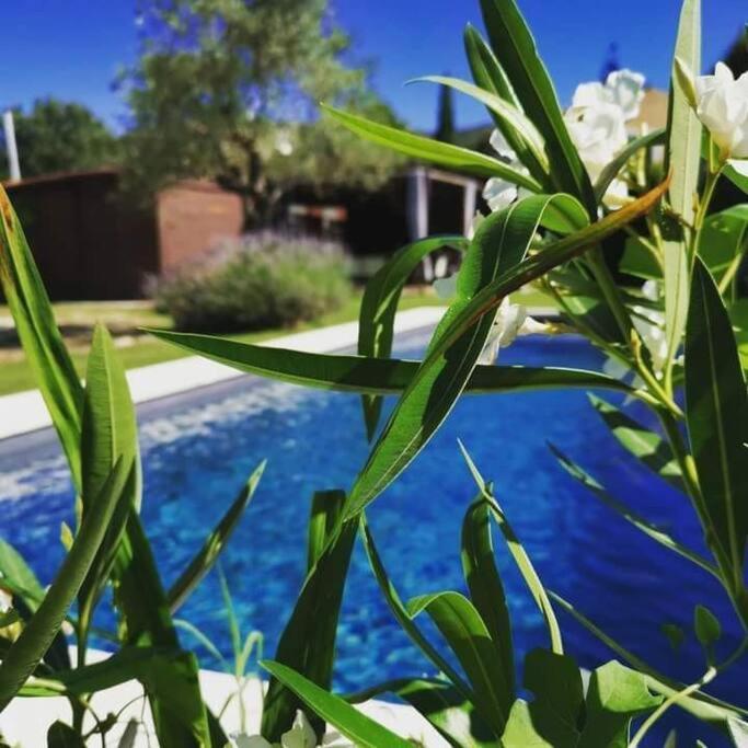 Le Cabanon Tendance Du Luberon Mérindol Εξωτερικό φωτογραφία