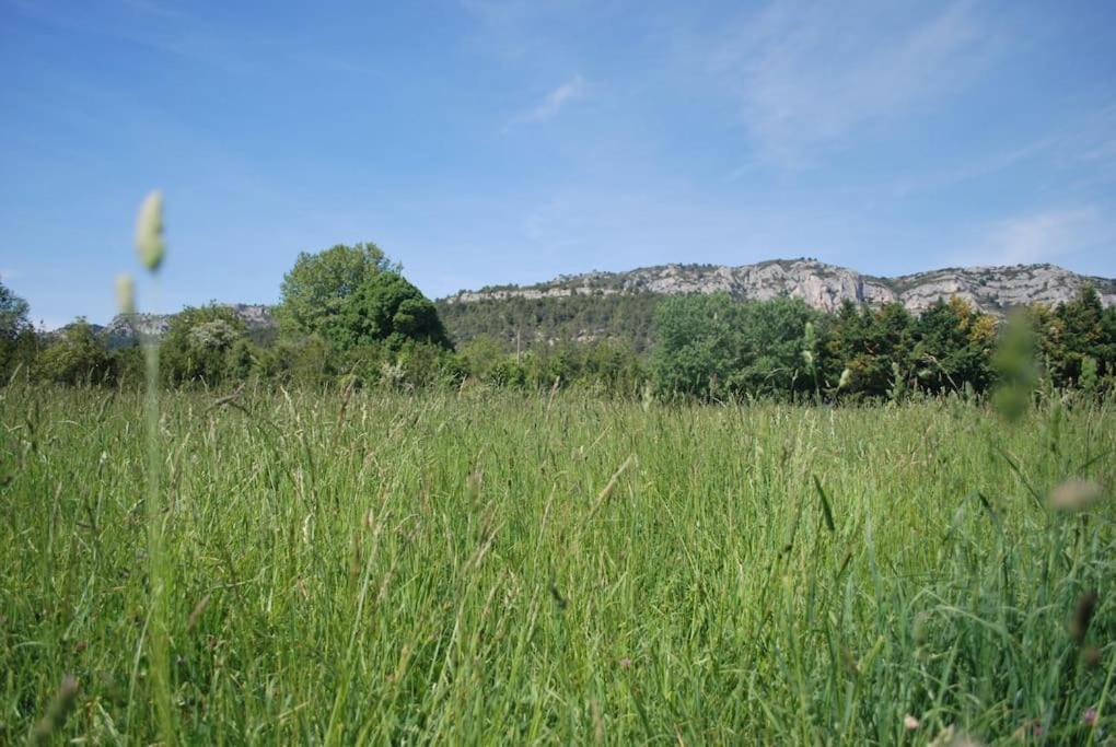 Le Cabanon Tendance Du Luberon Mérindol Εξωτερικό φωτογραφία